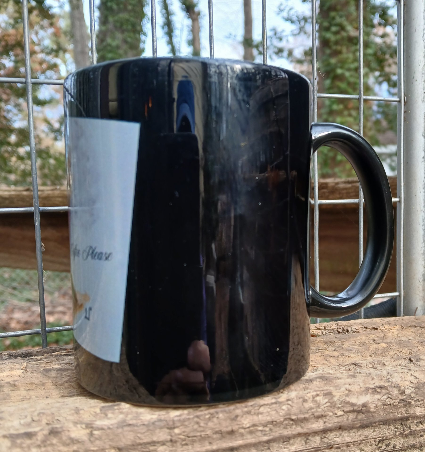 Coffee Please 11 oz Ceramic Mug