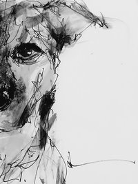 Your Pet's Portrait Created For You
